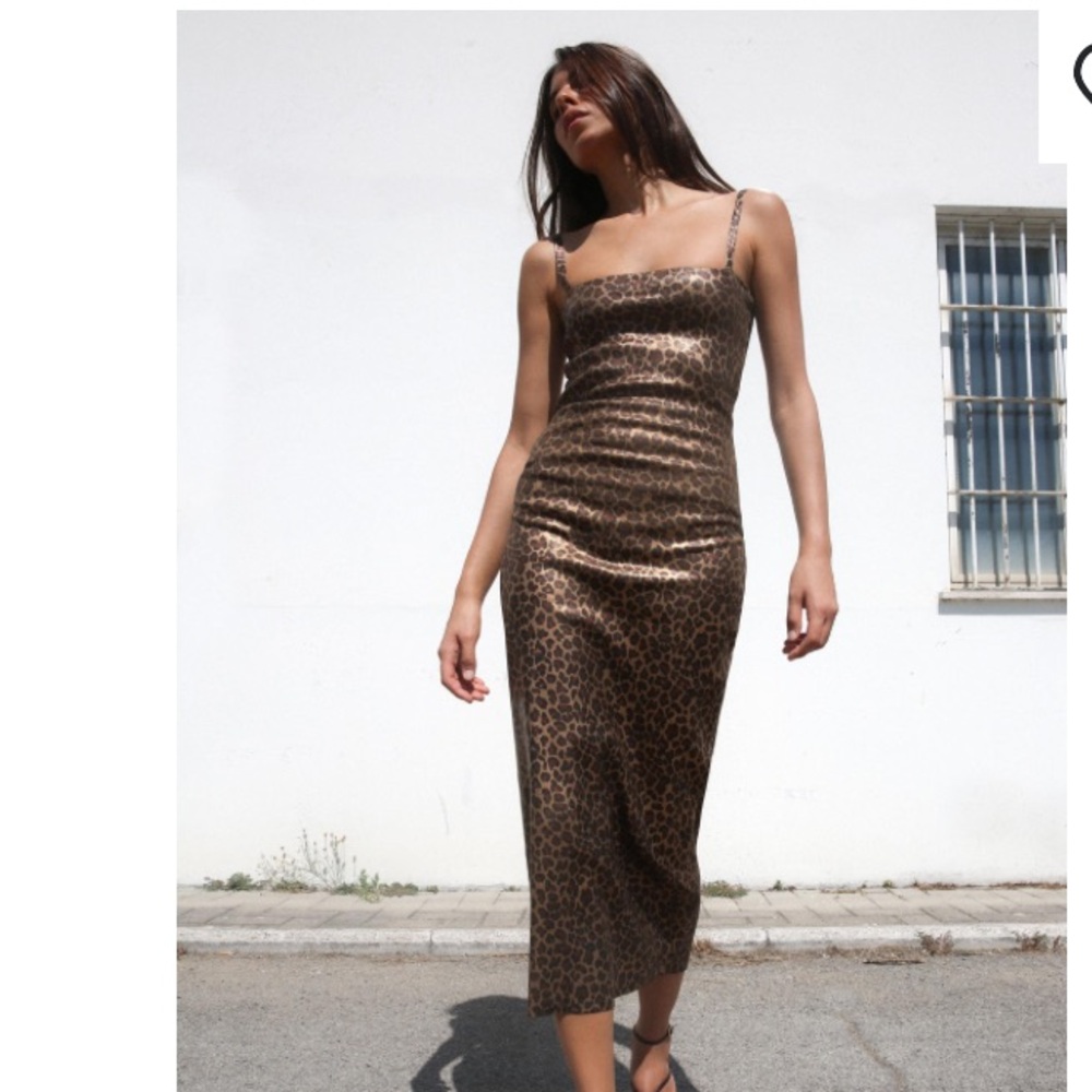 Zara Brown Leopard Print Satin Slip Dress